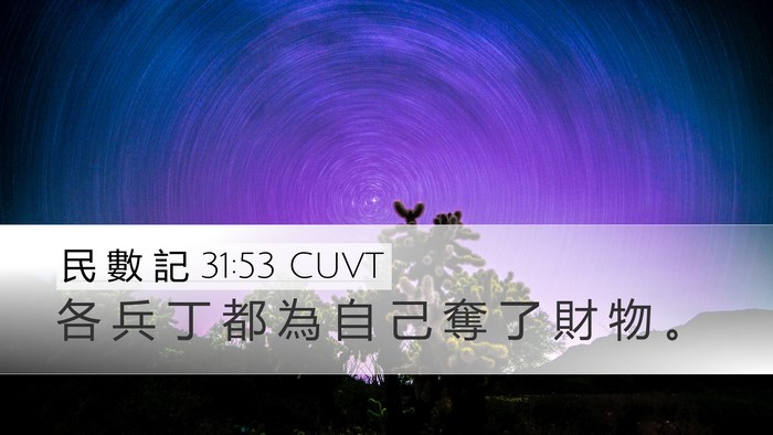 民 數 記 31:53 CUVT Desktop Wallpaper - 各 兵 丁 都 為 自 己 奪 了 財 物 - Desktop Bible Verse Wallpaper