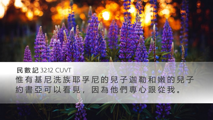 民 數 記 32:12 CUVT Bible Verse Image