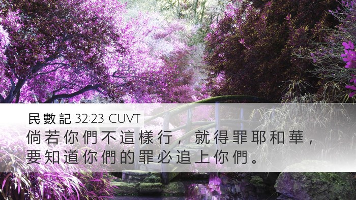 民 數 記 32:23 CUVT Bible Verse Image