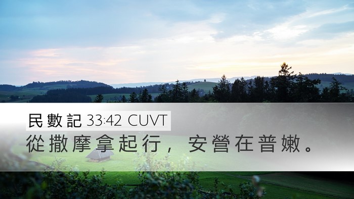 民 數 記 33:42 CUVT Desktop Wallpaper - 從 撒 摩 拿 起 行 ， 安 營 在 普 嫩 - Desktop Bible Verse Wallpaper