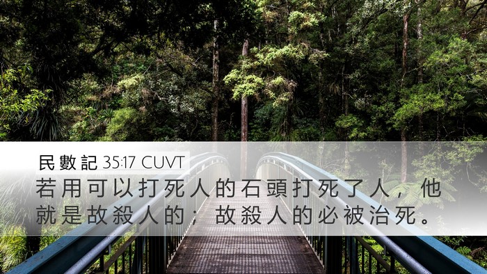 民 數 記 35:17 CUVT Desktop Wallpaper - 若 用 可 以 打 死 人 的 石 頭 打 死 - Desktop Bible Verse Wallpaper