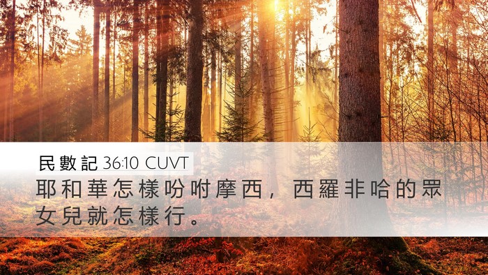 民 數 記 36:10 CUVT Bible Verse Image
