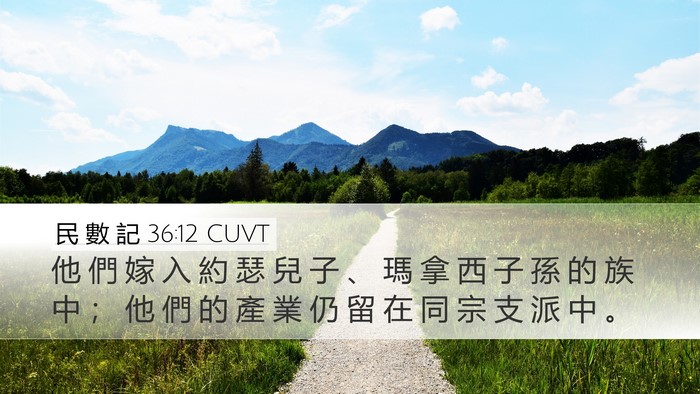 民 數 記 36:12 CUVT Bible Verse Image