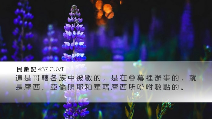 民 數 記 4:37 CUVT Bible Verse Image