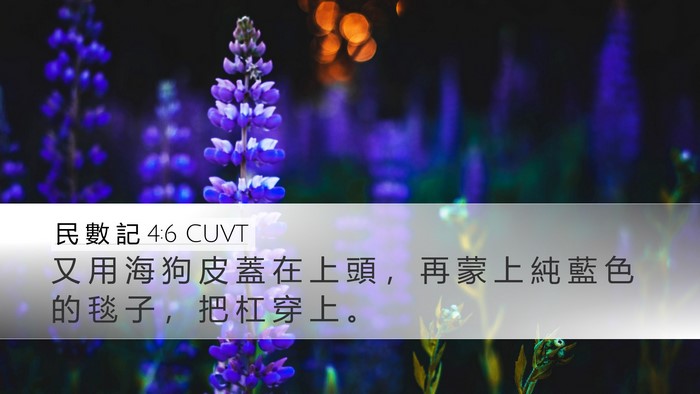 民 數 記 4:6 CUVT Bible Verse Image