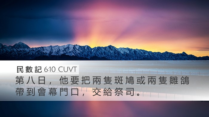 民 數 記 6:10 CUVT Bible Verse Image