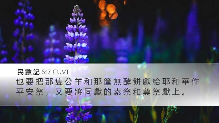 民 數 記 6:17 CUVT Bible Verse Image