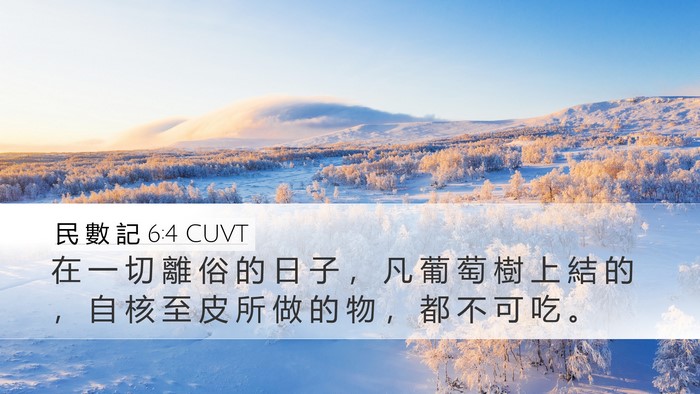 民 數 記 6:4 CUVT Bible Verse Image
