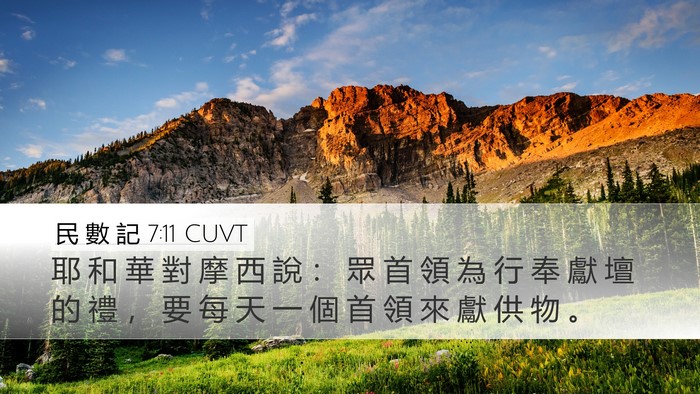 民 數 記 7:11 CUVT Desktop Wallpaper - 耶 和 華 對 摩 西 說 ： 眾 首 領 為 - Desktop Bible Verse Wallpaper