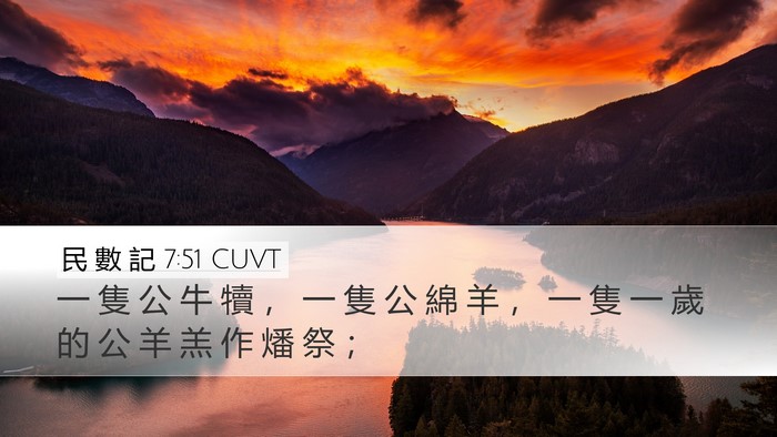 民 數 記 7:51 CUVT Desktop Wallpaper - 一 隻 公 牛 犢 ， 一 隻 公 綿 羊 ， - Desktop Bible Verse Wallpaper