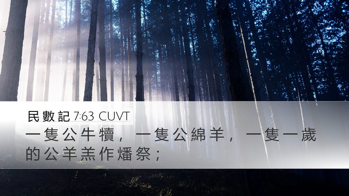 民 數 記 7:63 CUVT Desktop Wallpaper - 一 隻 公 牛 犢 ， 一 隻 公 綿 羊 ， - Desktop Bible Verse Wallpaper