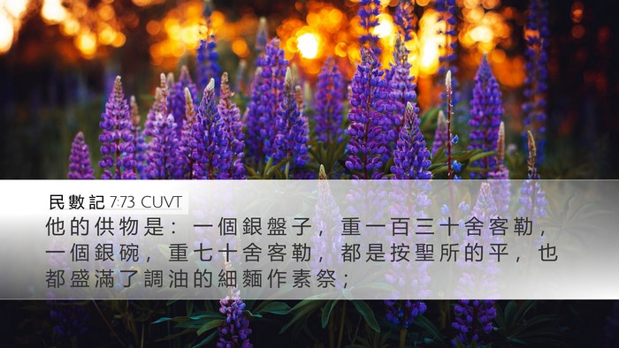 民 數 記 7:73 CUVT Desktop Wallpaper - 他 的 供 物 是 ： 一 個 銀 盤 子 ， - Desktop Bible Verse Wallpaper