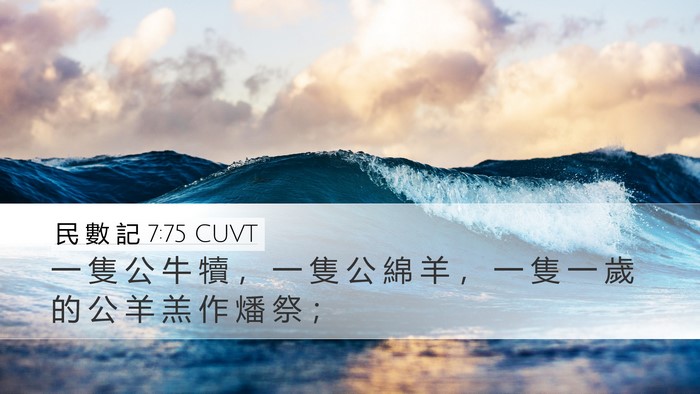 民 數 記 7:75 CUVT Desktop Wallpaper - 一 隻 公 牛 犢 ， 一 隻 公 綿 羊 ， - Desktop Bible Verse Wallpaper