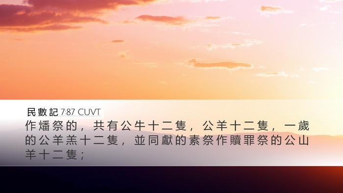 民 數 記 7:87 CUVT Desktop Wallpaper - 作 燔 祭 的 ， 共 有 公 牛 十 二 隻 - Desktop Bible Verse Wallpaper