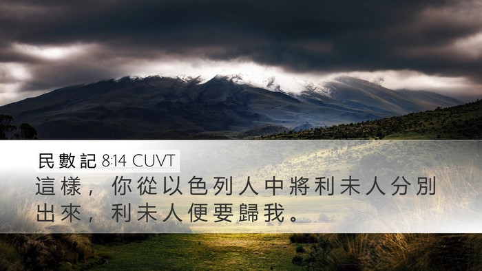 民 數 記 8:14 CUVT Desktop Wallpaper - 這 樣 ， 你 從 以 色 列 人 中 將 利 - Desktop Bible Verse Wallpaper
