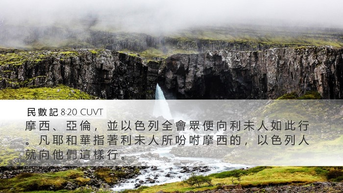 民 數 記 8:20 CUVT Bible Verse Image
