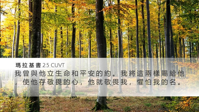 瑪 拉 基 書 2:5 CUVT Bible Verse Image