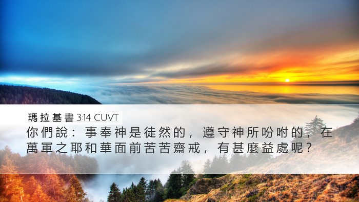 瑪 拉 基 書 3:14 CUVT Bible Verse Image