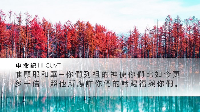 申 命 記 1:11 CUVT Desktop Wallpaper - 惟 願 耶 和 華 ─ 你 們 列 祖 的 神 - Desktop Bible Verse Wallpaper