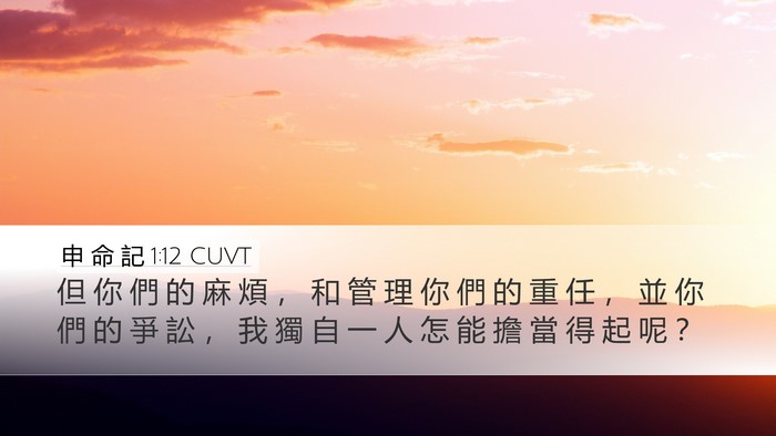 申 命 記 1:12 CUVT Desktop Wallpaper - 但 你 們 的 麻 煩 ， 和 管 理 你 們 - Desktop Bible Verse Wallpaper