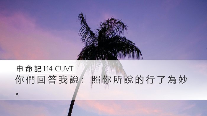 申 命 記 1:14 CUVT Desktop Wallpaper - 你 們 回 答 我 說 ： 照 你 所 說 的 - Desktop Bible Verse Wallpaper