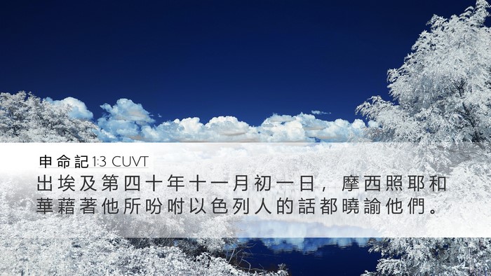 申 命 記 1:3 CUVT Desktop Wallpaper - 出 埃 及 第 四 十 年 十 一 月 初 一 - Desktop Bible Verse Wallpaper