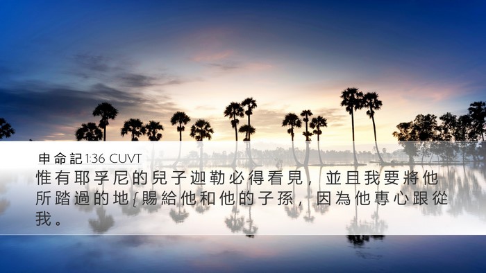 申 命 記 1:36 CUVT Desktop Wallpaper - 惟 有 耶 孚 尼 的 兒 子 迦 勒 必 得 - Desktop Bible Verse Wallpaper