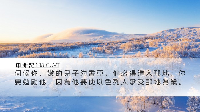 申 命 記 1:38 CUVT Bible Verse Image