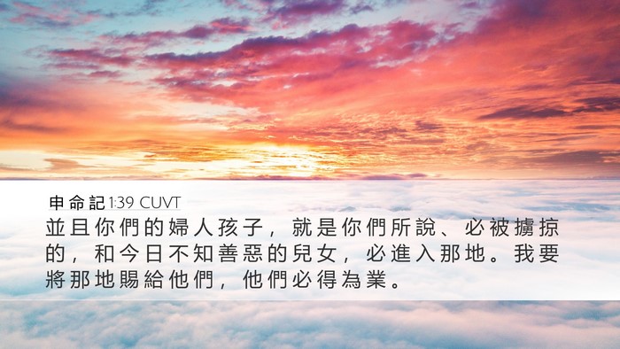申 命 記 1:39 CUVT Bible Verse Image