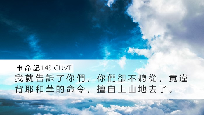 申 命 記 1:43 CUVT Desktop Wallpaper - 我 就 告 訴 了 你 們 ， 你 們 卻 不 - Desktop Bible Verse Wallpaper