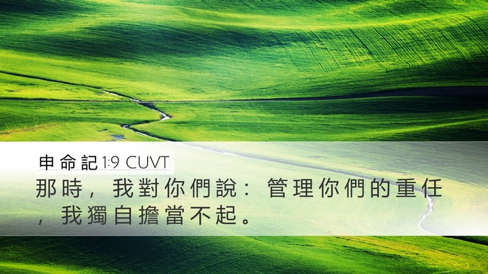 申 命 記 1:9 CUVT Desktop Wallpaper - 那 時 ， 我 對 你 們 說 ： 管 理 你 - Desktop Bible Verse Wallpaper