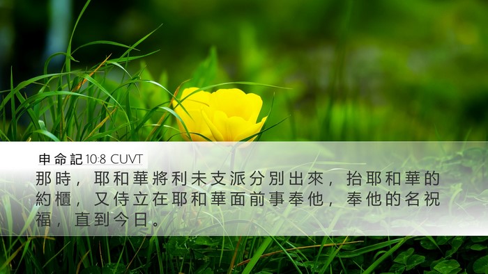 申 命 記 10:8 CUVT Bible Verse Image