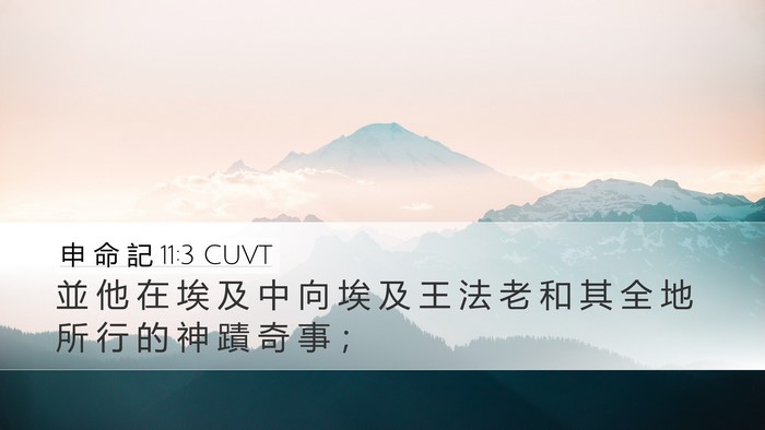 申 命 記 11:3 CUVT Desktop Wallpaper - 並 他 在 埃 及 中 向 埃 及 王 法 老 - Desktop Bible Verse Wallpaper