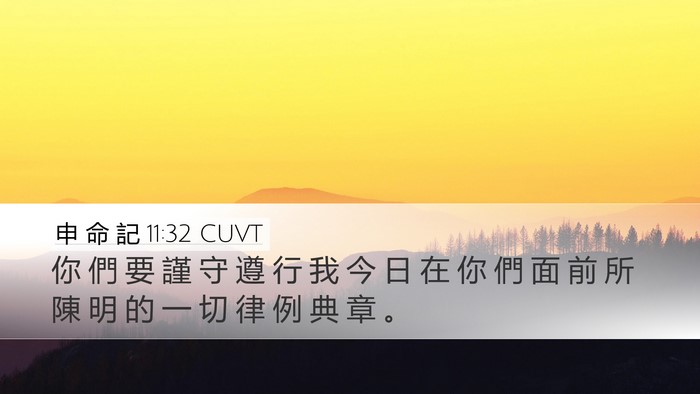 申 命 記 11:32 CUVT Bible Verse Image