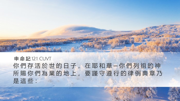 申 命 記 12:1 CUVT Bible Verse Image