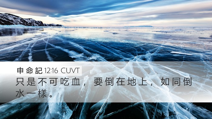 申 命 記 12:16 CUVT Bible Verse Image