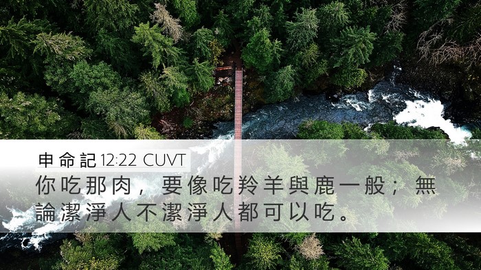 申 命 記 12:22 CUVT Desktop Wallpaper - 你 吃 那 肉 ， 要 像 吃 羚 羊 與 鹿 - Desktop Bible Verse Wallpaper