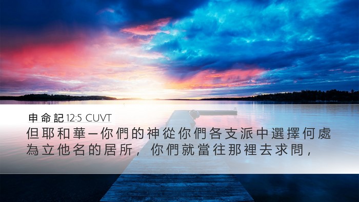 申 命 記 12:5 CUVT Bible Verse Image