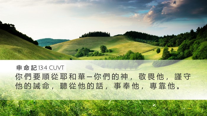 申 命 記 13:4 CUVT Bible Verse Image