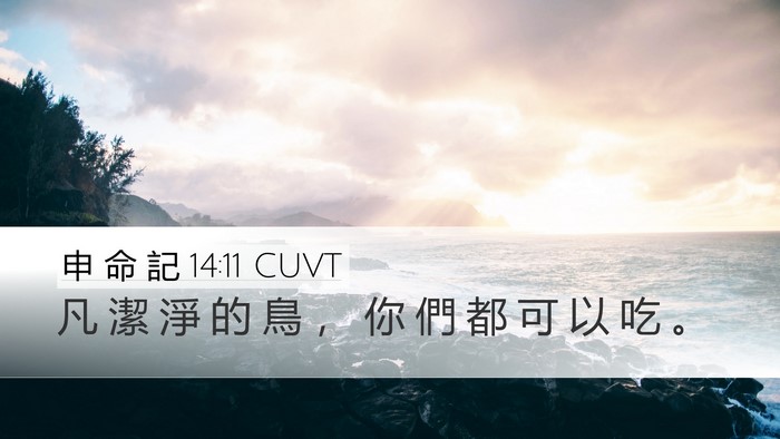 申 命 記 14:11 CUVT Desktop Wallpaper - 凡 潔 淨 的 鳥 ， 你 們 都 可 以 吃 - Desktop Bible Verse Wallpaper