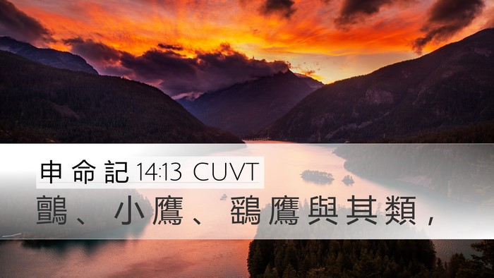 申 命 記 14:13 CUVT Bible Verse Image