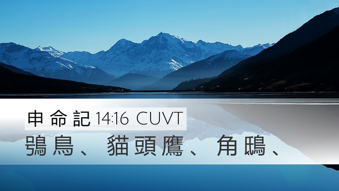 申 命 記 14:16 CUVT Desktop Wallpaper - 鴞 鳥 、 貓 頭 鷹 、 角 鴟 - Desktop Bible Verse Wallpaper