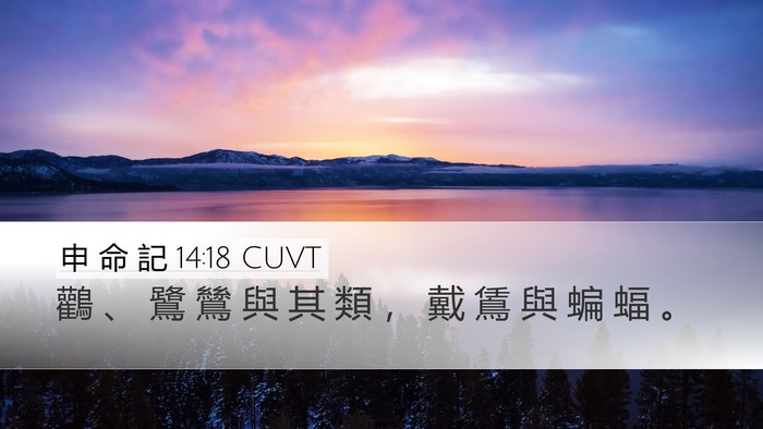 申 命 記 14:18 CUVT Desktop Wallpaper - 鸛 、 鷺 鷥 與 其 類 ， 戴 鵀 與 蝙 - Desktop Bible Verse Wallpaper