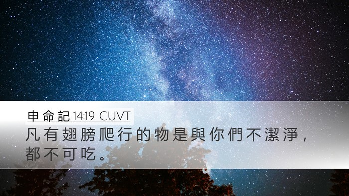 申 命 記 14:19 CUVT Bible Verse Image