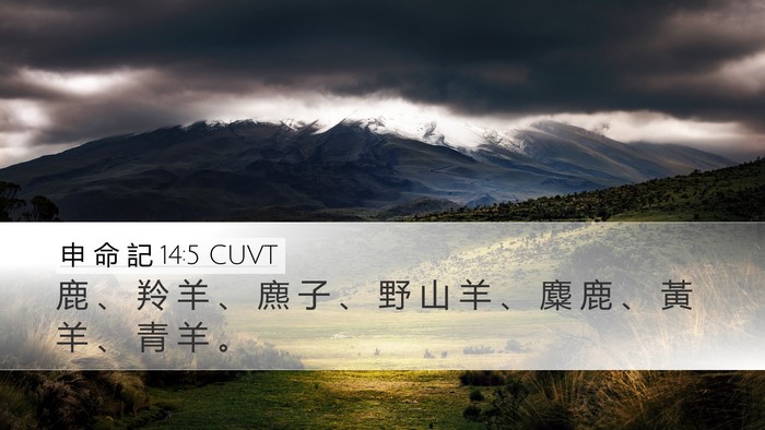 申 命 記 14:5 CUVT Desktop Wallpaper - 鹿 、 羚 羊 、 麃 子 、 野 山 羊 、 - Desktop Bible Verse Wallpaper