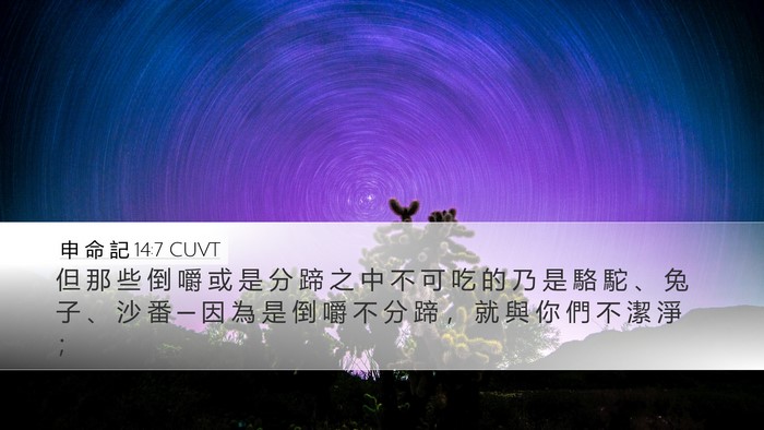 申 命 記 14:7 CUVT Desktop Wallpaper - 但 那 些 倒 嚼 或 是 分 蹄 之 中 不 - Desktop Bible Verse Wallpaper