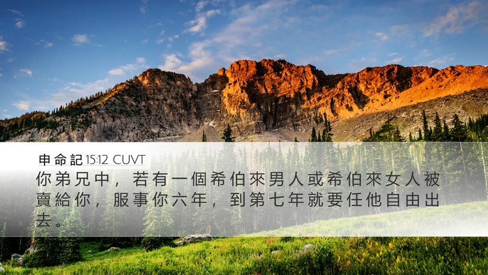 申 命 記 15:12 CUVT Bible Verse Image