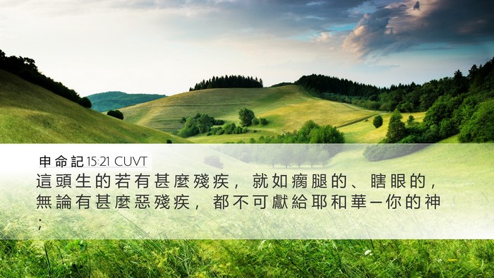 申 命 記 15:21 CUVT Bible Verse Image
