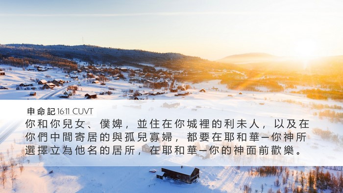 申 命 記 16:11 CUVT Bible Verse Image