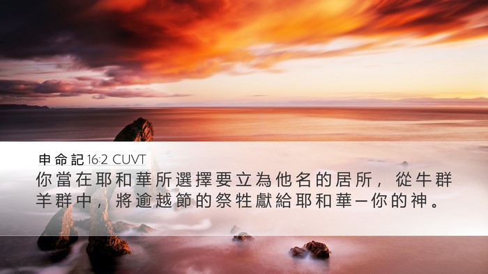 申 命 記 16:2 CUVT Bible Verse Image